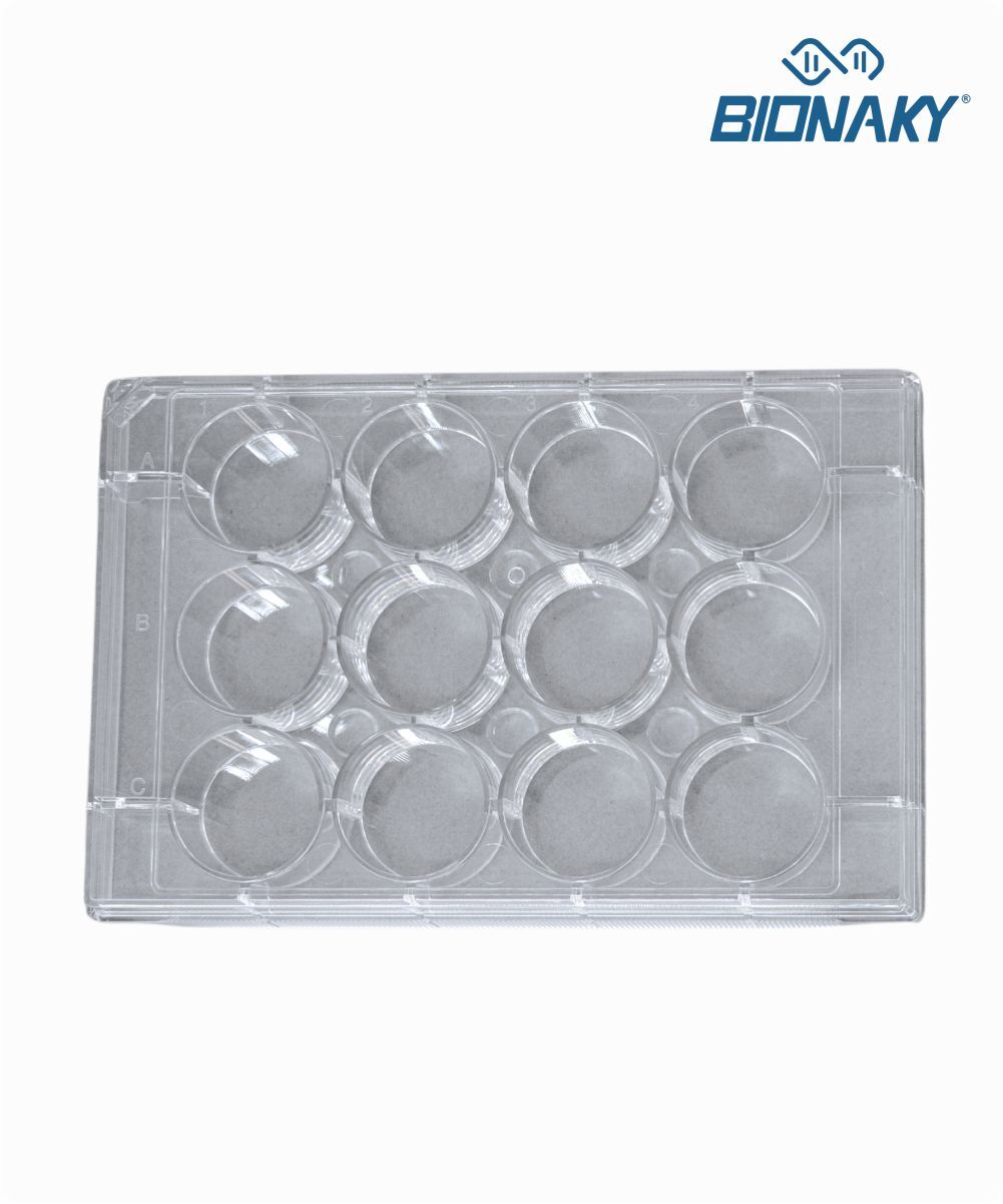 Microplaca para cultura celular com 12 orifícios